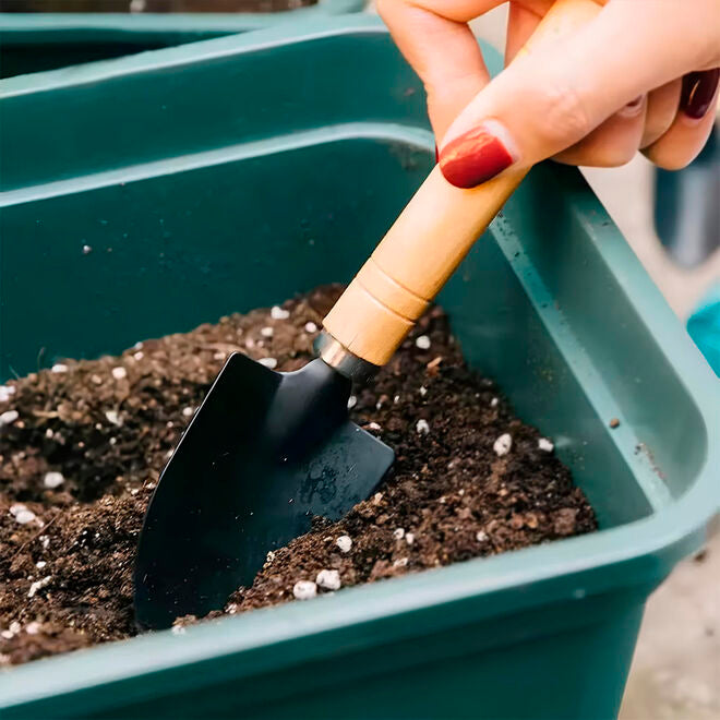 Conjunto para Jardinagem em Casa 3 Peças