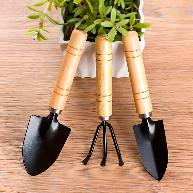 Conjunto para Jardinagem em Casa 3 Peças