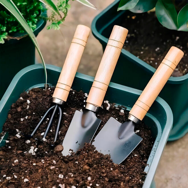 Conjunto para Jardinagem em Casa 3 Peças