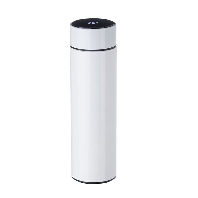 Garrafa em Aço Inox de 450ml com Display Indicador Colors Fresh