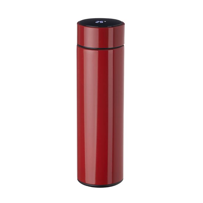 Garrafa em Aço Inox de 450ml com Display Indicador Colors Fresh