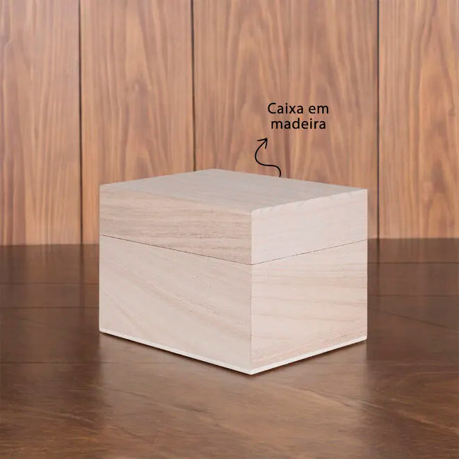 Kit Copo para Whisky + Pegador de Gelo + 3 Cubos de Pedra-sabão e Caixa de Madeira