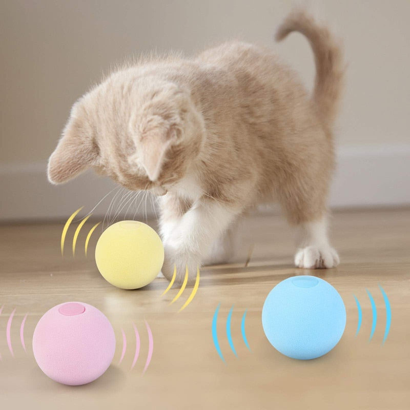 brinquedo para pets