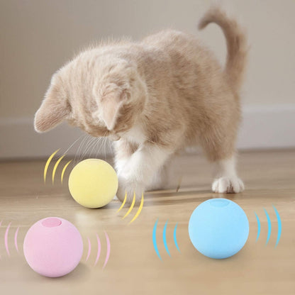 brinquedo para pets